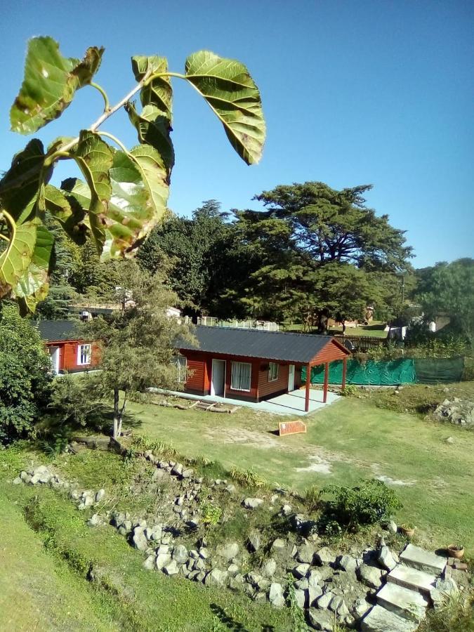Cabañas los Plátanos La Granja Exterior foto